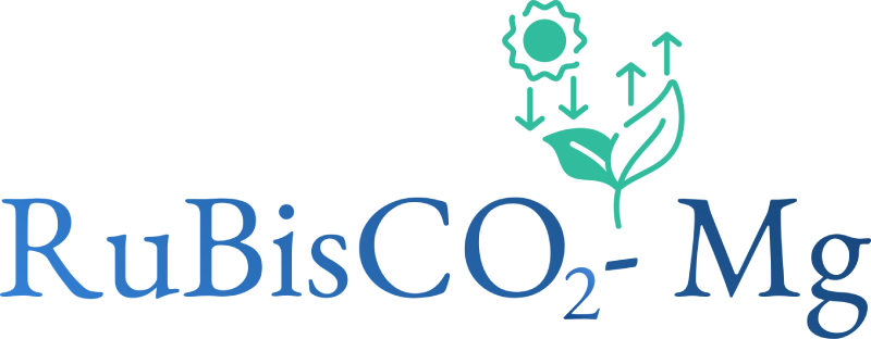 logo RuBisCO2-MG fertilizante de magnesio quelatado